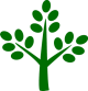 Moringa City
